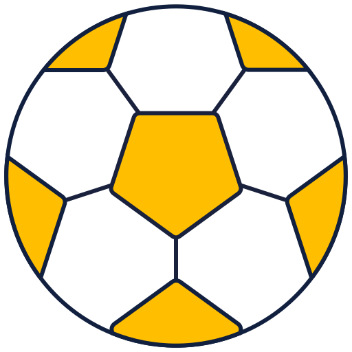 Fotbal